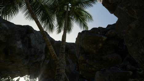 Grandes-Palmeras-En-Cueva-De-Piedra-Con-Rayos-De-Sol