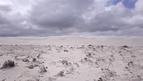 dunas de arena costeras secas y escasas de australia.