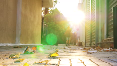 Jungen-Laufen-In-Hellem-Sonnenlicht,-Herbstszene