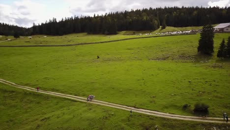 nature path in the swiss alps next to a small mount