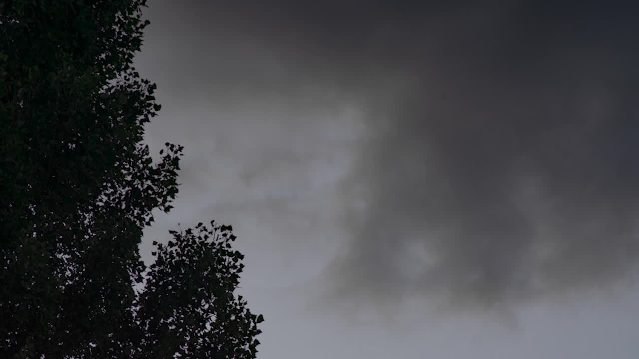 lapso de tiempo de nubes y árboles al atardecer en el bolson, argentina, tiro medio