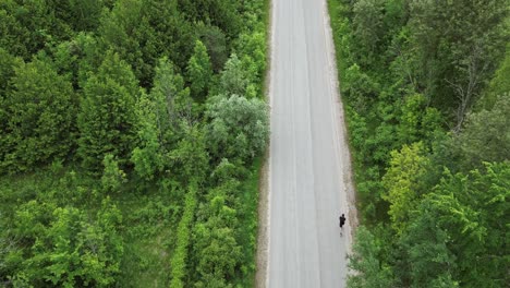 Person-Isoliert-Beim-Laufen-Auf-Der-Straße-Im-Dichten-Wald