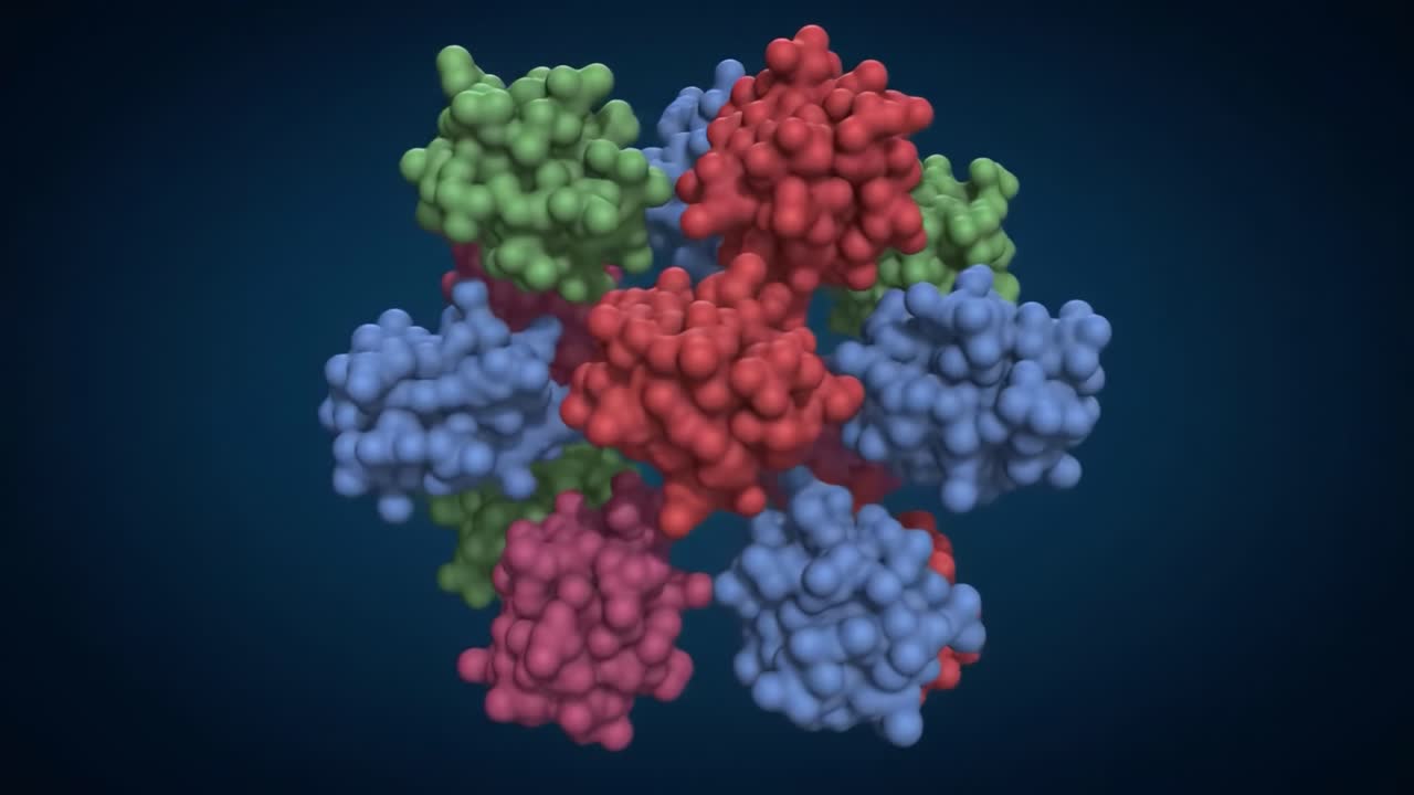 A detailed look at the complex arrangement of protein clusters, showcasing their colorful structures and interactions.