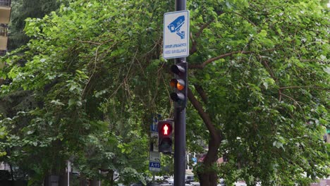 City-traffic-light-on-a-rainy-day-going-from-green-to-red-with-a-green-tree-at-the-end-of-spring-start-of-summer-in-Tbilisi-Georiga-vake-street