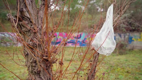 Plastic-bag-discarded-in-forest,-stuck-in-a-tree,-pollution-and-littering-in-nature,-street-art-and-graffiti-on-the-walls