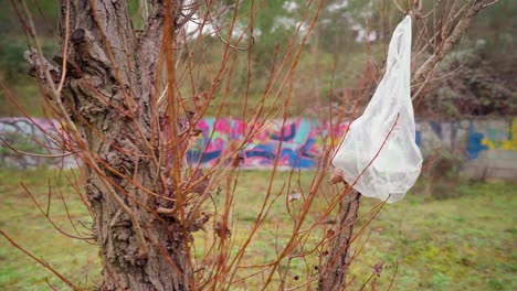 bolsa de plástico descartada en el bosque, atrapada en un árbol, contaminación y basura en la naturaleza, arte callejero y graffiti en las paredes