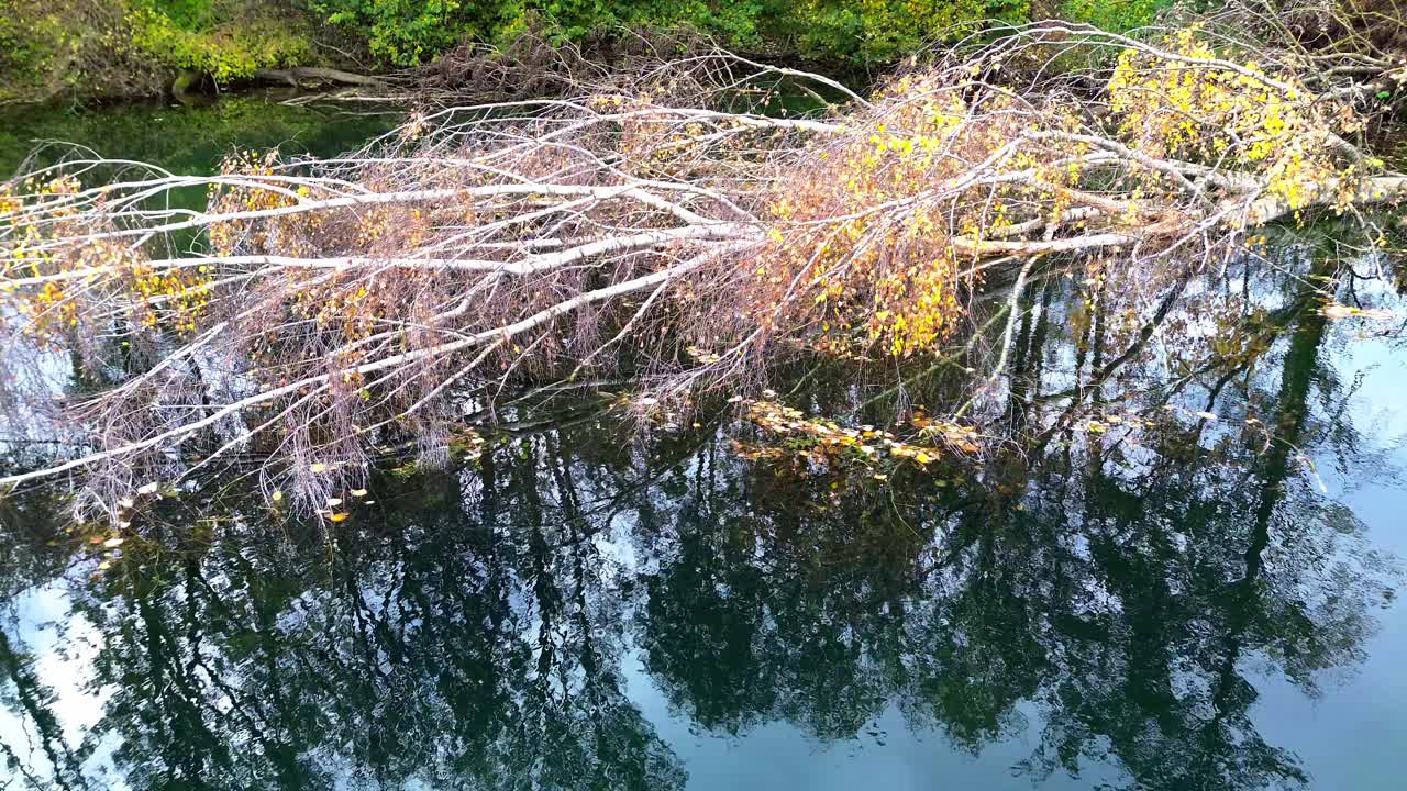 드론으로 촬영된 오턴 호수 해안선 4k 영상