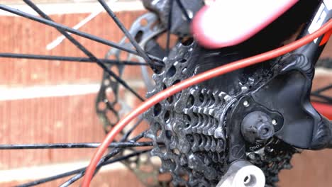 close up of a dirty rear cassette on a bicycle being scrubbed with a brush using water and degreaser to clean