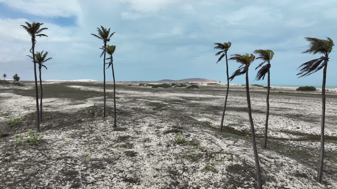 Deserted beach with sparse vegetation and a dramatic sky, Jericoacoara coastline