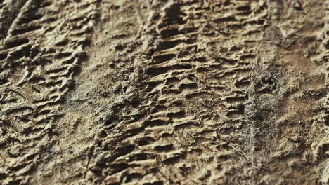 wheel tracks on rough road