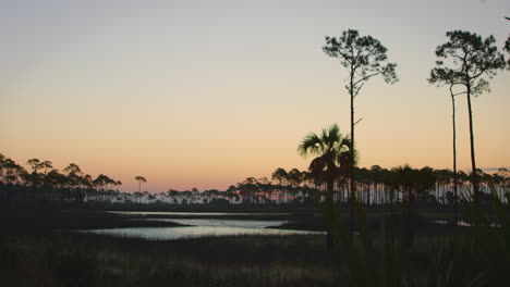 florida everglades_sunrise over palm tree lined swamp.