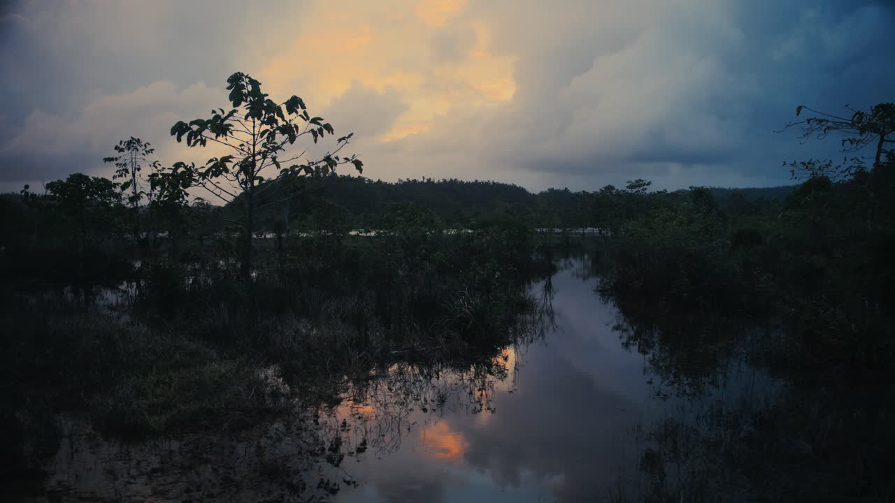 con vistas a un pantano de manglares en una isla de las filipinas