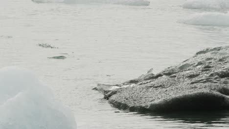 Jokulsarlon-Lagoon-Iceland,-right-to-left-trucking-shot-of-glacial-icebergs-melting-away