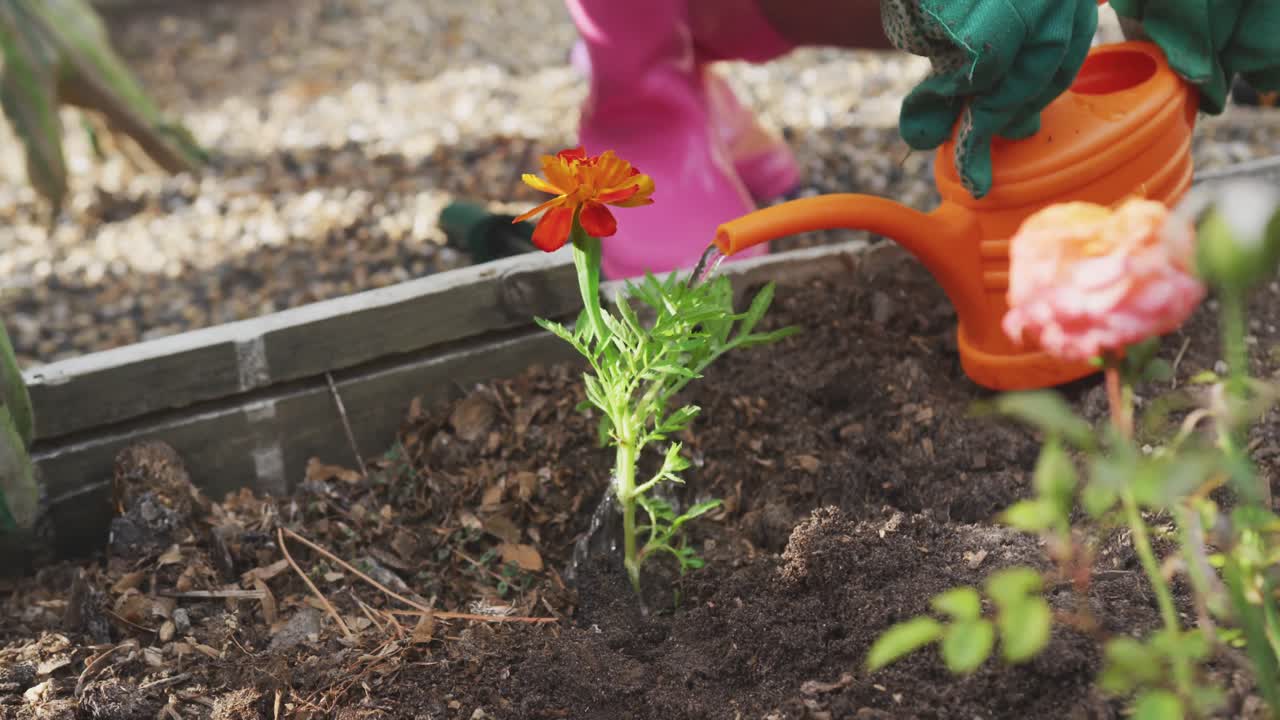 padre y hija afroamericanos regando plantas