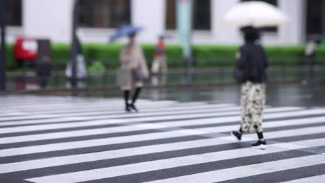 walking people on the street in marunouchi tokyo rainy day