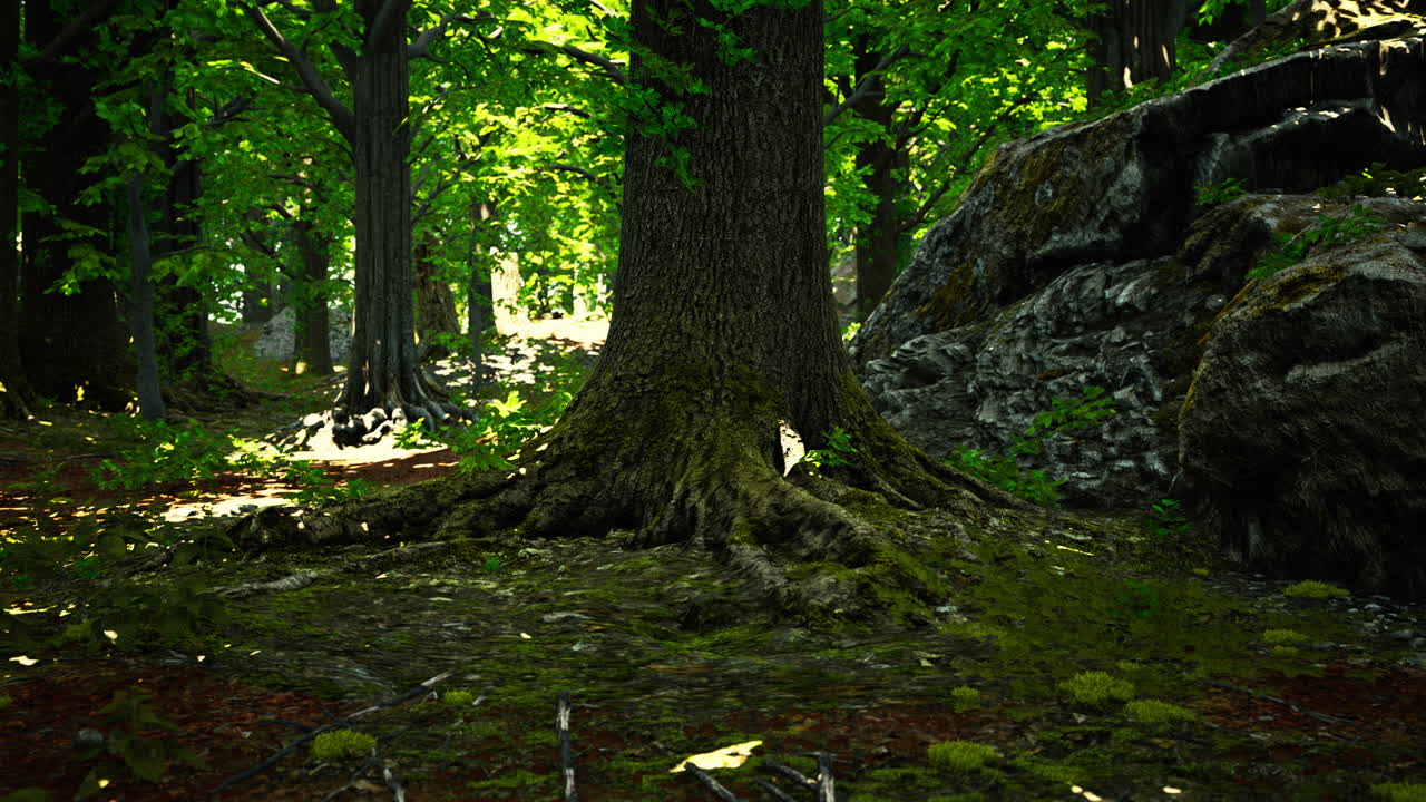 bosque tropical asiático con musgo