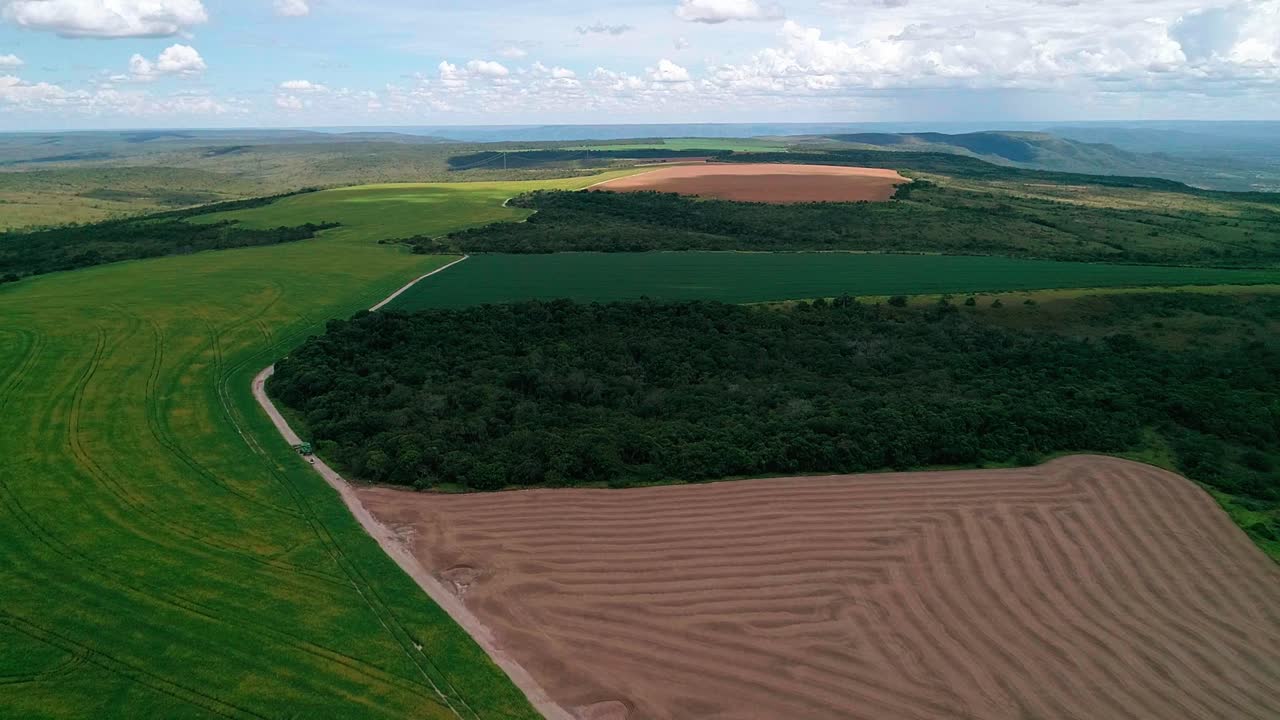 Aerial, industrial deforestation, soya plantation, monoculture farming