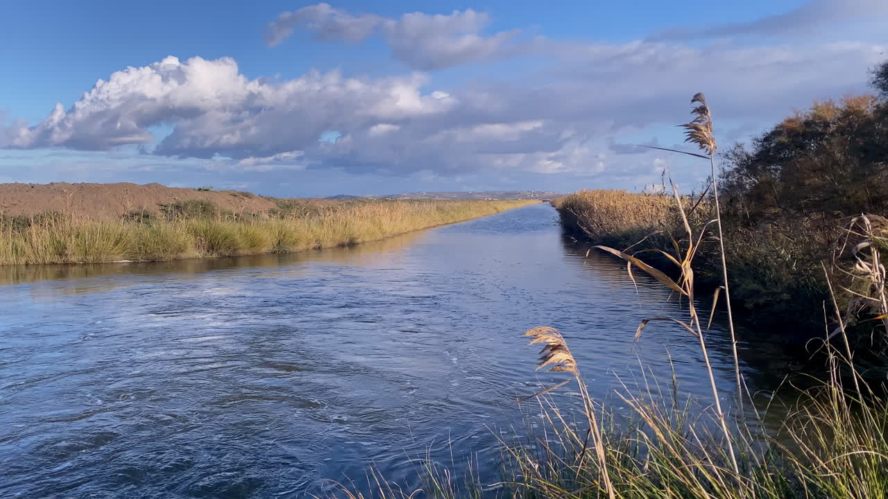 River flowing between tall dry reeds under a blue sky, reflecting clouds and creating a tranquil natural scene in Trebujena, Spain