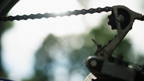 close-up of bicycle's rear wheel and gear system as the chain rotates briefly, with sunlight reflecting off the chain and cogwheel, the background features soft, blurred tree