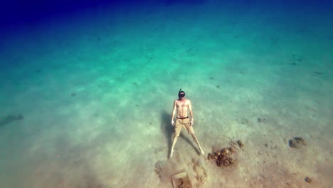 a divers body floating down like dead in the clear blue sea near dahab in egypt