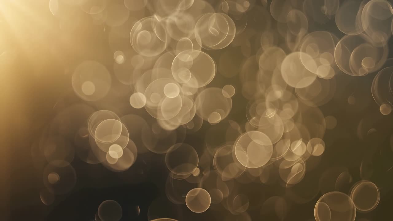 Grappolo fluttuante di sfere di luce bokeh dorate che si spostano in un campo soleggiato, provenienti da un bagliore solare.
