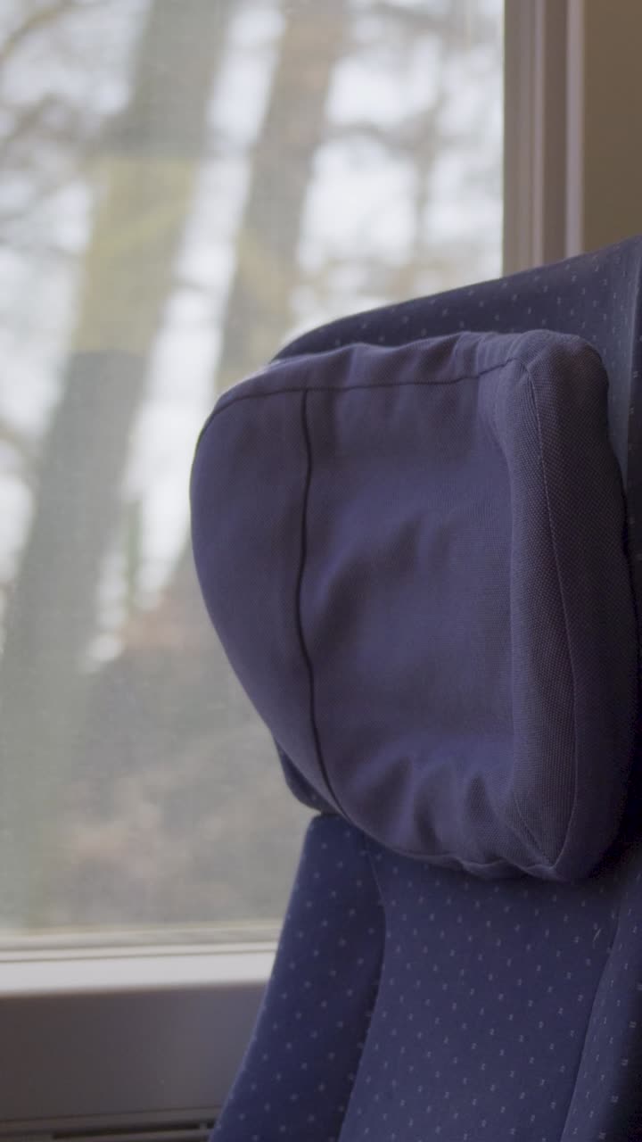 ICE train interior seat beside window, peaceful ride through nature