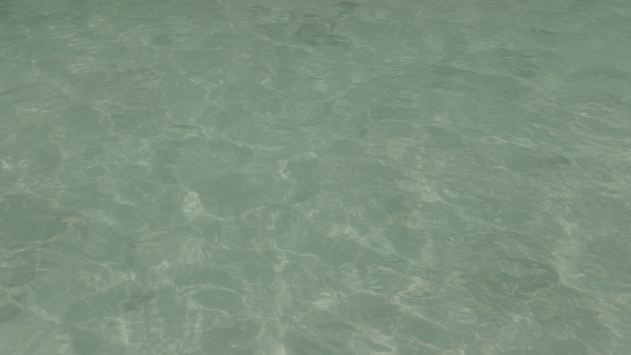 naturaleza océano agua prores video reflejo del sol establecer tiro h2o