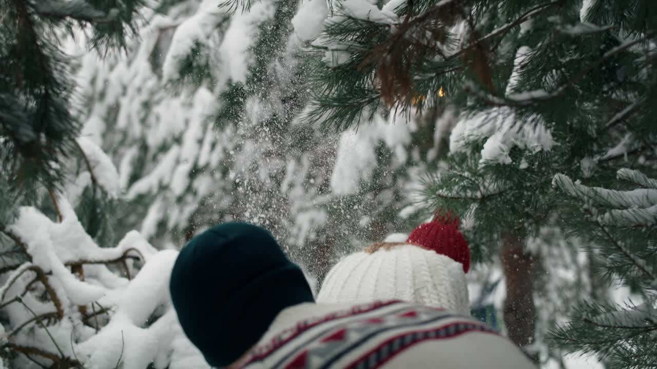 Rear view of couple walking into the forest in winter.