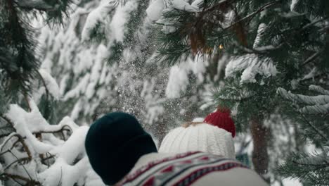 rear view of couple walking into the forest in winter.