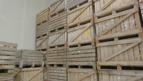 many wooden crates full of fruits, food storage in wooden boxes