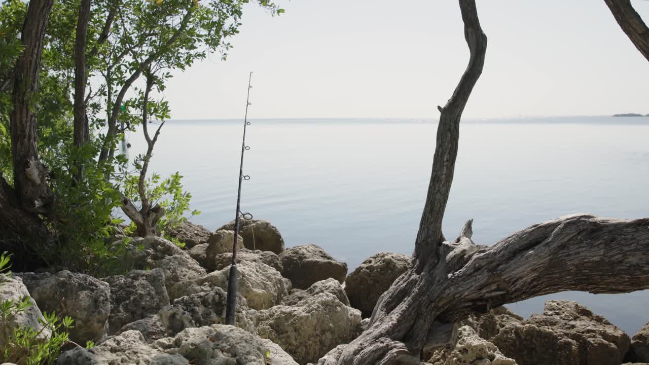 Joran pancing disangga di antara bebatuan di sepanjang garis pantai di Black Point, Florida. Batang pohon mati dan dedaunan hijau di latar depan dengan air tenang menciptakan suasana yang sunyi dan kontemplatif