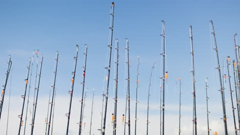 fishing rods