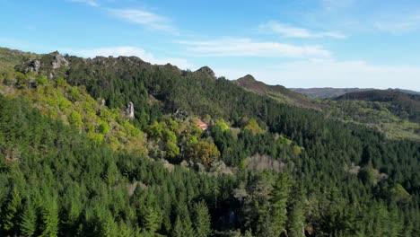 Flug-In-Der-Nähe-Des-Klosters-San-Pedro-De-Rocas-Durch-Einen-Spanischen-Wald