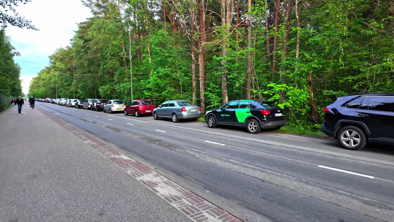 나무로 둘러싸인 거리를 따라 주차 된 자동차