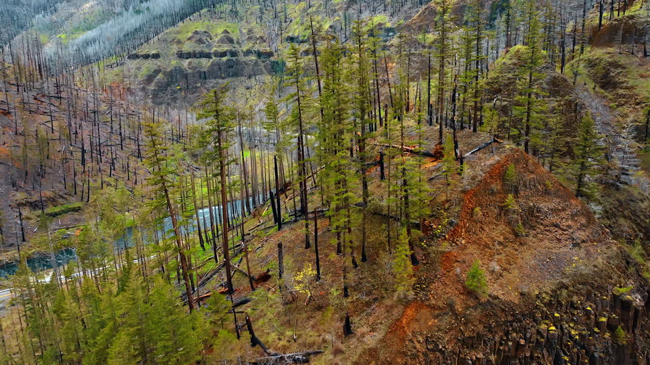 Flying closer to steep rock with pine trees growing on top. Wavy river flowing at the foot of the mountains in Oregon State, USA.