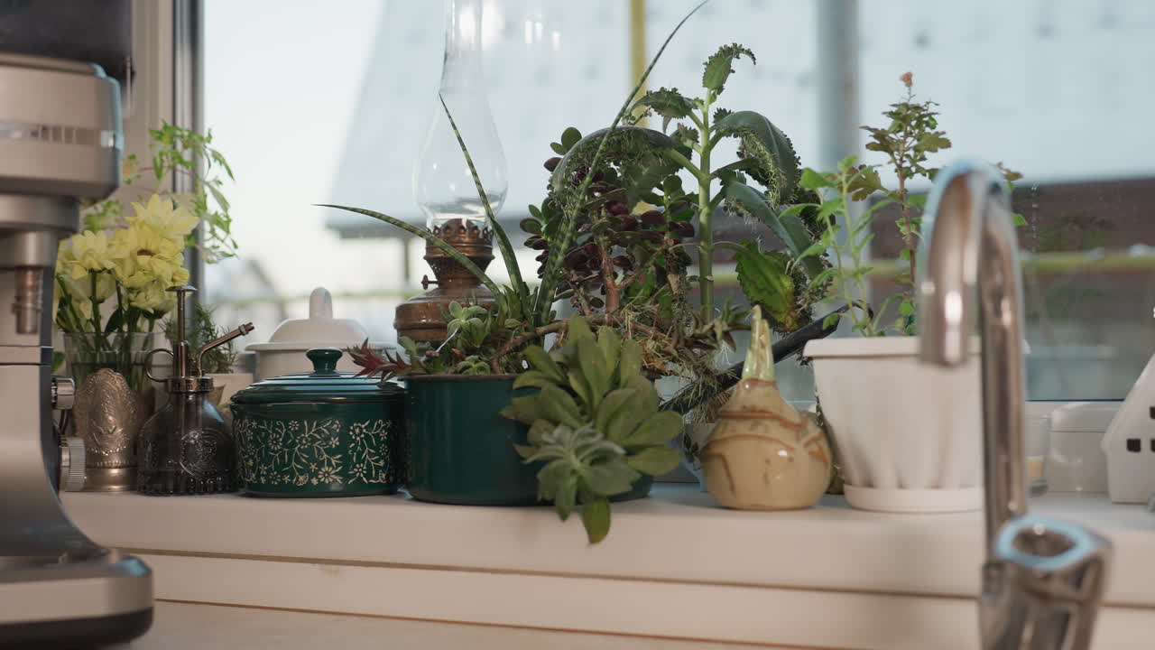 Close up of kitchen counter with chrome faucet, silver blender, potted plants, ceramic jars, and oil dispenser arranged near window with outdoor view