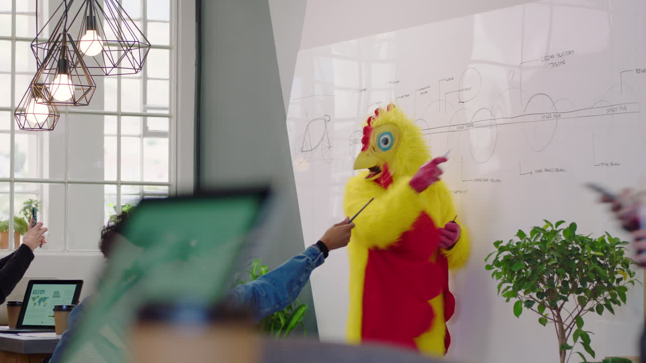 presentación de disfraces de pollo