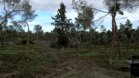 Fallen-trees-in-Madrid-largest-park-Casa-de-Campo-after-Filomena-snow-blizzard-in-January-2021-with-500-thousand-trees-affected