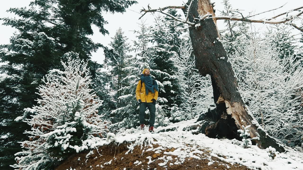 Man in Snowy Forest