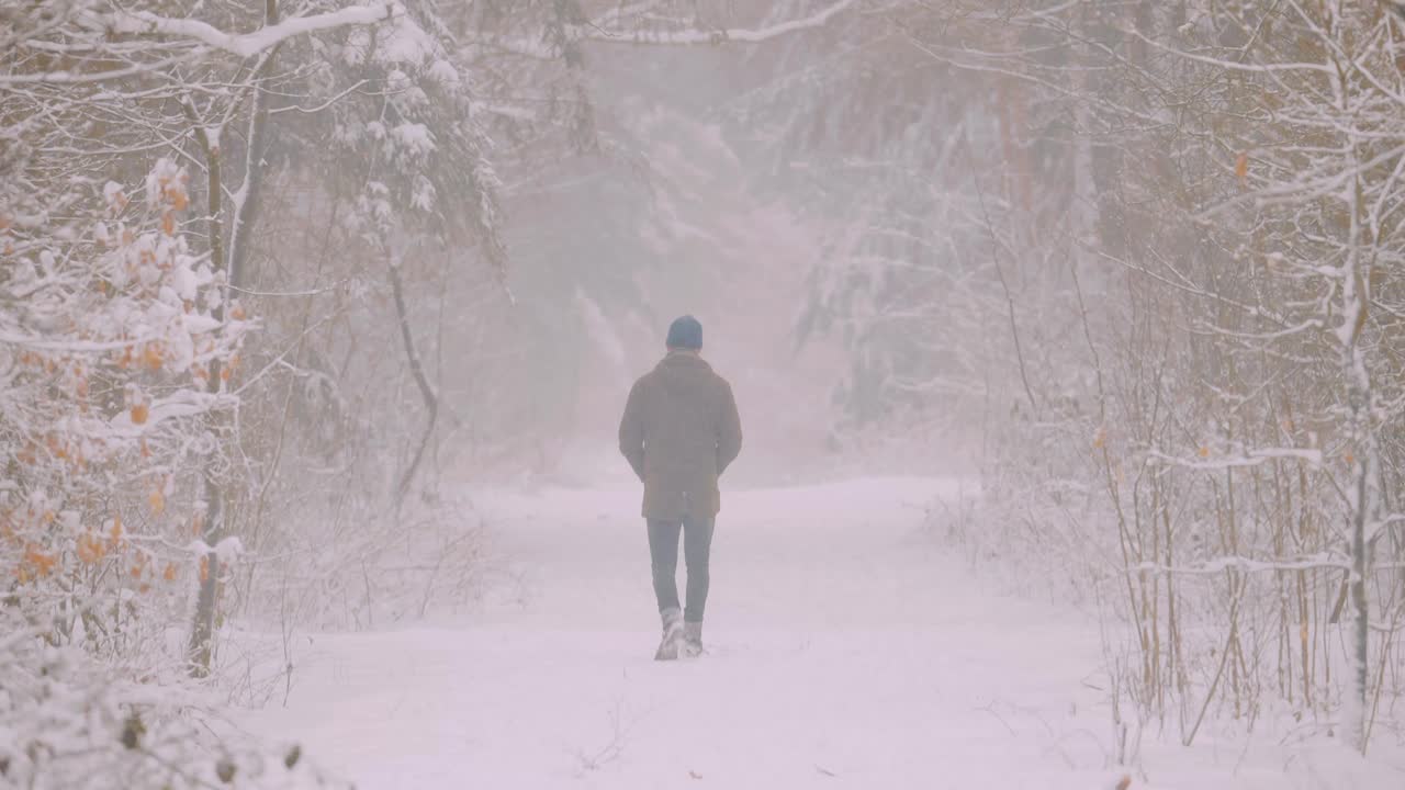 안개 낀 겨울 숲길을 여유롭게 산책하는 등산객의 뒷모습