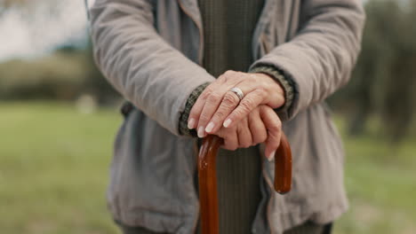 cane senior, manos y persona en la naturaleza