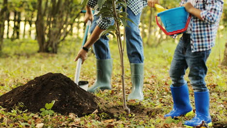 Nahaufnahme.-Porträt-Eines-Kleinen-Jungen-Und-Seines-Vaters,-Der-Einen-Baum-Pflanzt.-Gemeinsam-Legen-Sie-Die-Erde-Auf-Die-Wurzeln-Des-Baumes.-Papa-Erzählt-Seinem-Sohn-Etwas.-Verschwommener-Hintergrund