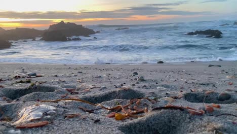 Pegotes-De-Medusas-Y-Pepinillos-Marinos-Arrastrados-A-La-Costa-En-Las-Playas-De-Arena-De-La-Bahía-De-Monterey,-California,-En-Enero-De-2021