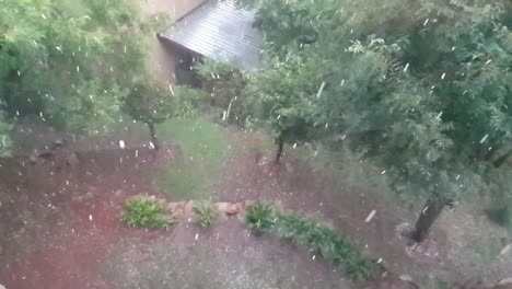 Destructive-hail-thunder-storm-hitting-trees-and-leaves-in-garden-with-hailstones-and-causing-damage,-very-severe-natural-disaster-followed-by-heavy-rains-causing-floods