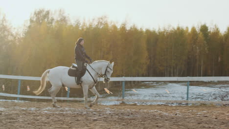 young woman horseriding