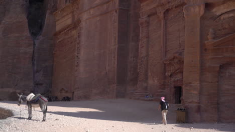 a man and mule in front of carved temple in petra archaeological site, jordan on hot sunny day, full frame slow motion