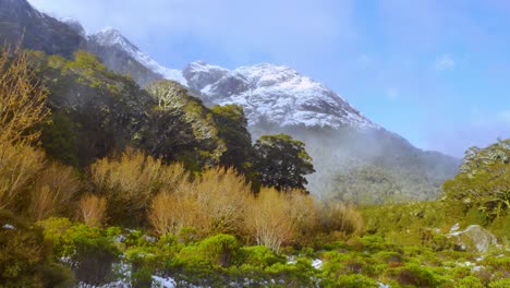 madre naturaleza en el parque nacional durante los inviernos con enormes montañas cubiertas de nieve en el fondo