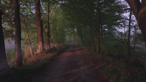 dolly shot inside a forest, of a trail leading into the middle of the frame at sunrise in poland