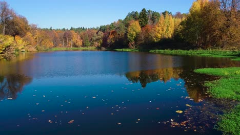 colorful autumn forest wood on the lake