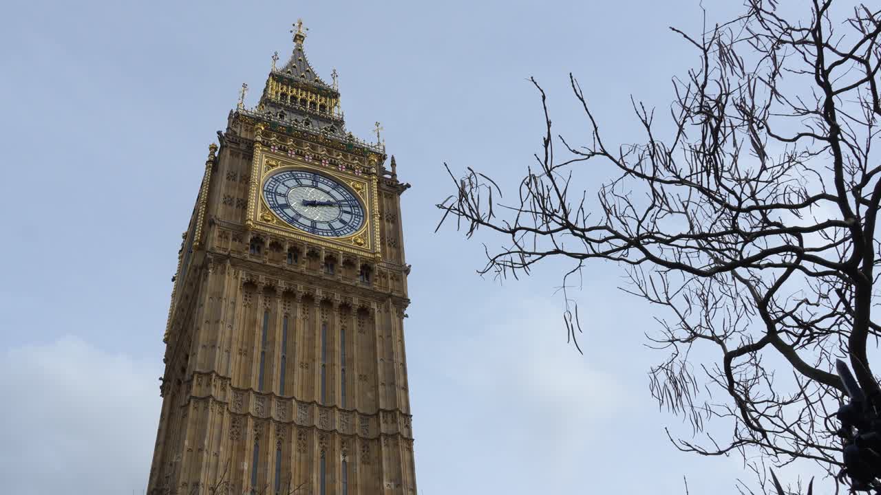 Big Ben clock tower in London with tree branches in the foreground. Close-up view showing the clock face and tower details against the sky